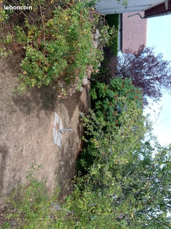 Maison à vendre, 120m², Aube