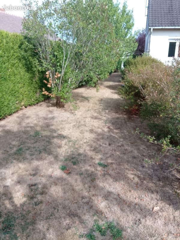 Maison à vendre, 120m², Aube