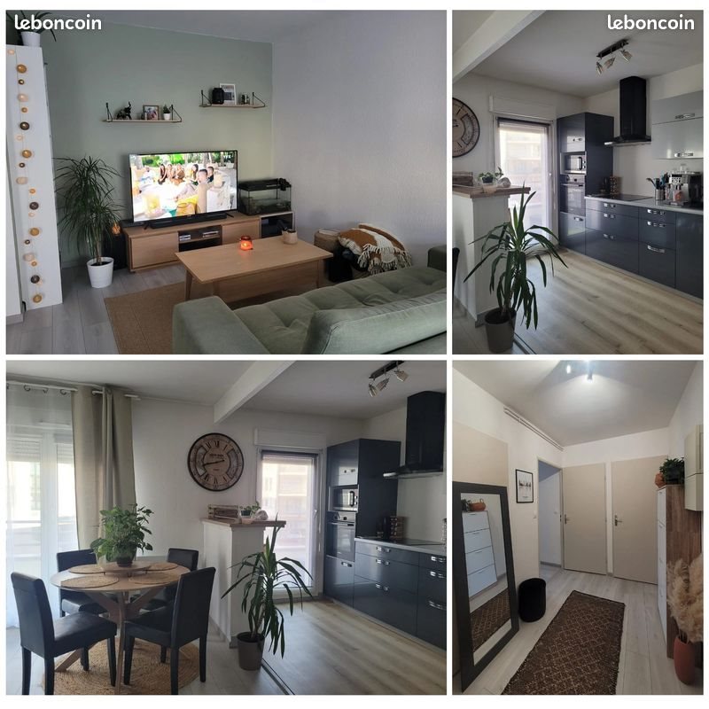 Appartement à vendre, 47m², Nancy