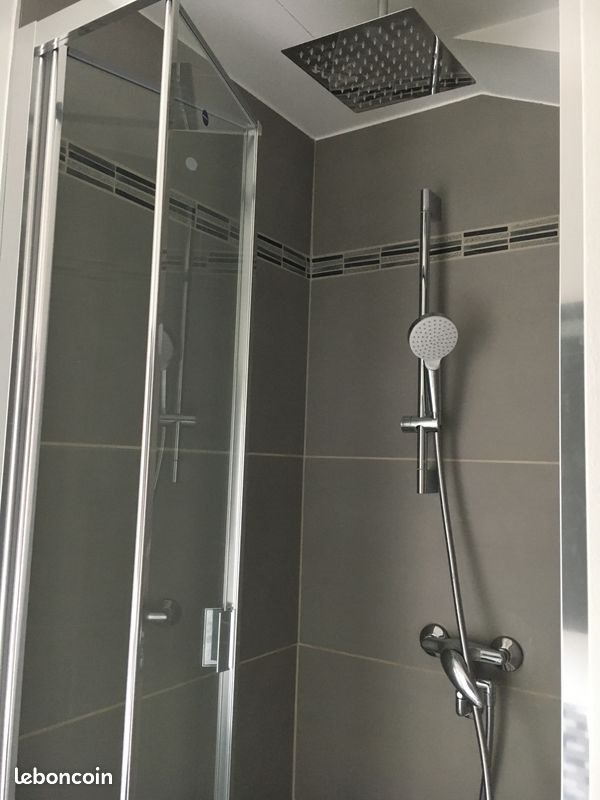 Appartement à louer, 50m², Nancy