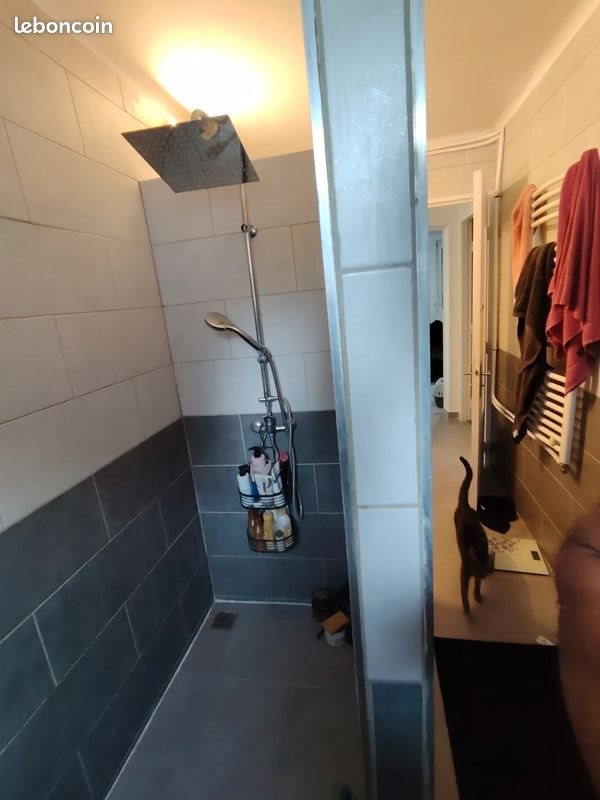 Appartement à louer, 75m², Metz