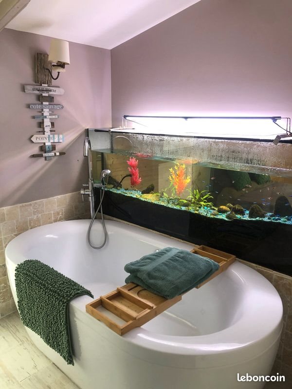 Appartement à louer, 35m², Lannion