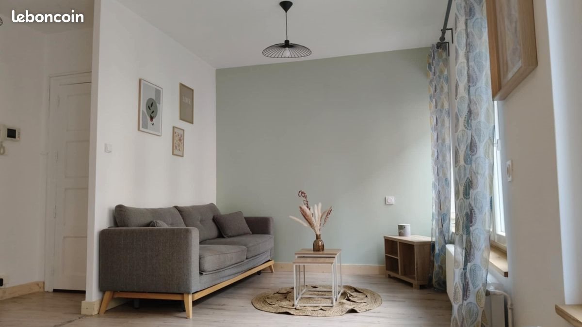 Appartement à louer, 48m², Saint-Etienne