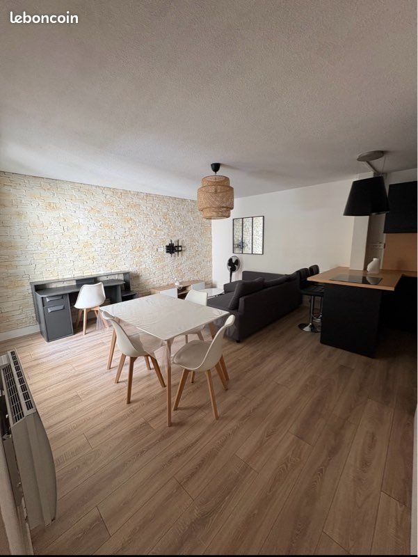 Appartement à louer, 48m², Lyon 7ème