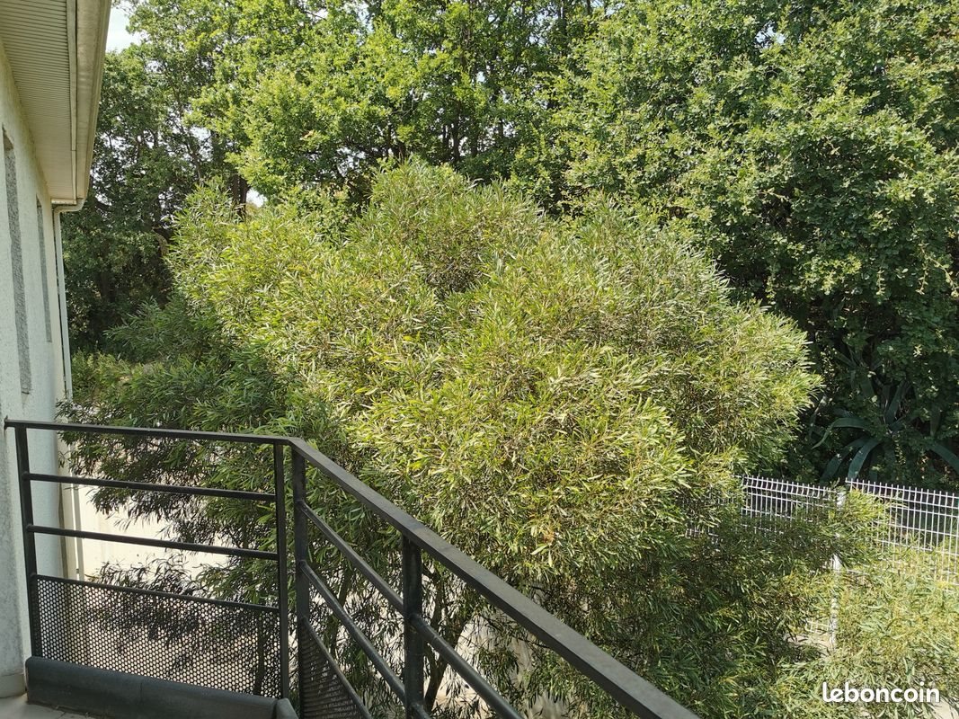 Appartement à louer, 39m², Perpignan