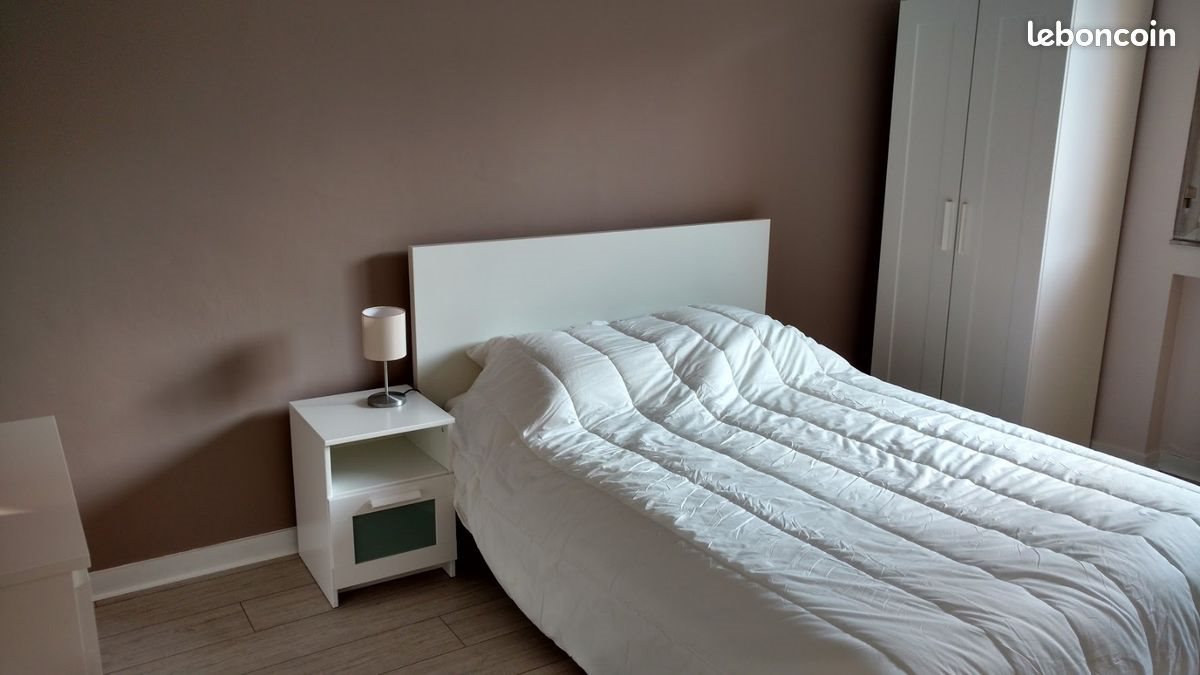 Appartement à louer, 52m², Saint-Etienne