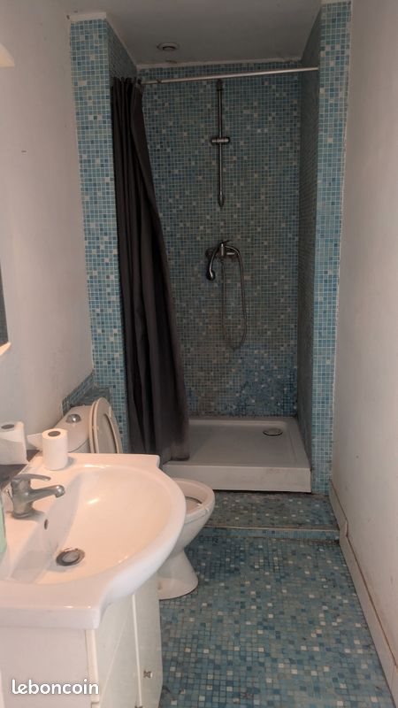 Appartement à louer, 52m², Lille