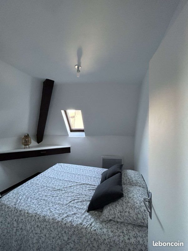 Appartement à louer, 25m², Roanne