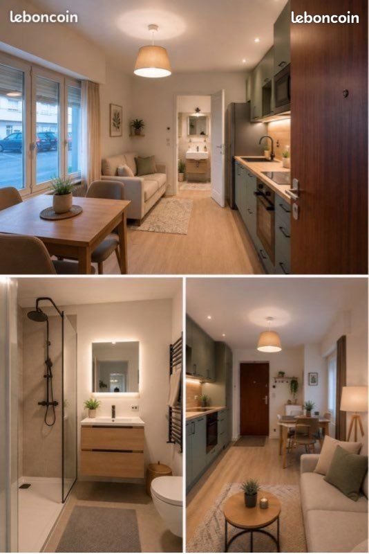 Appartement à louer, 19m², Roanne