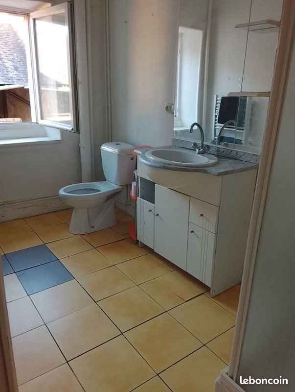 Appartement à louer, 45m², Thénezay