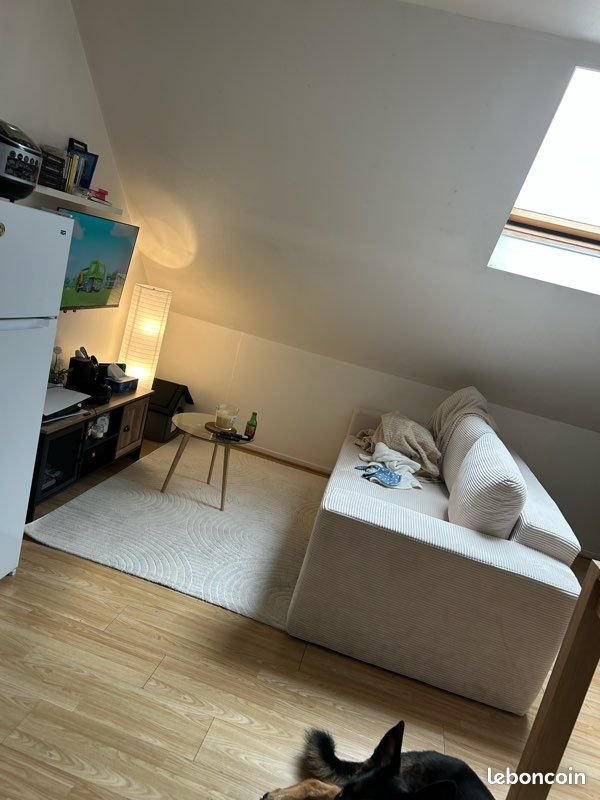 Appartement à louer, 45m², Cambrai