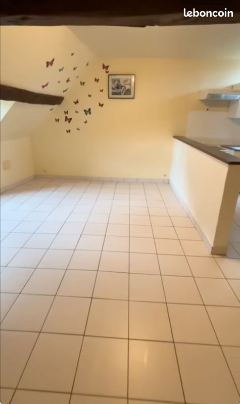 Appartement à louer, 41m², Brienon-sur-Armançon