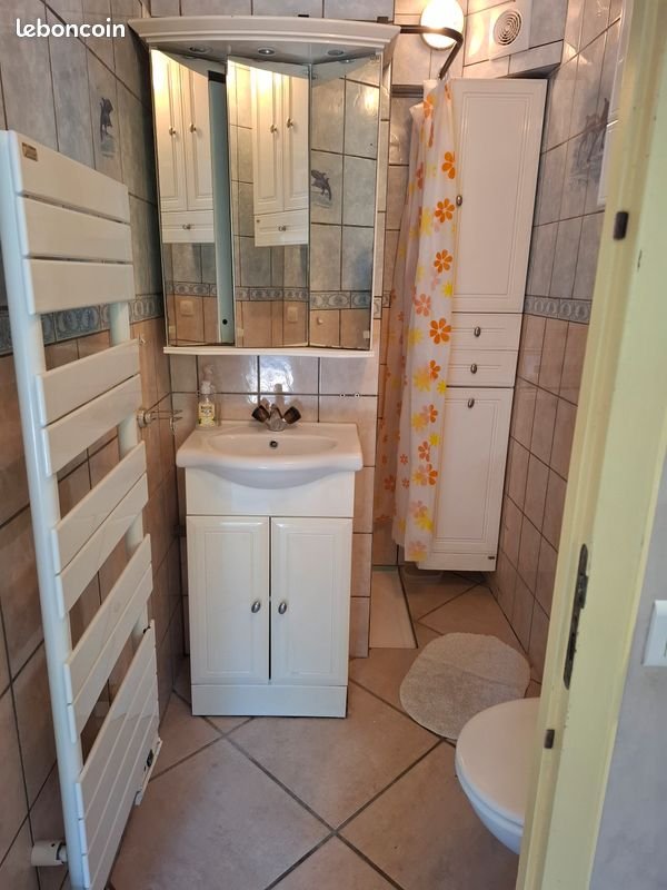 Appartement à louer, 28m², Peillonnex