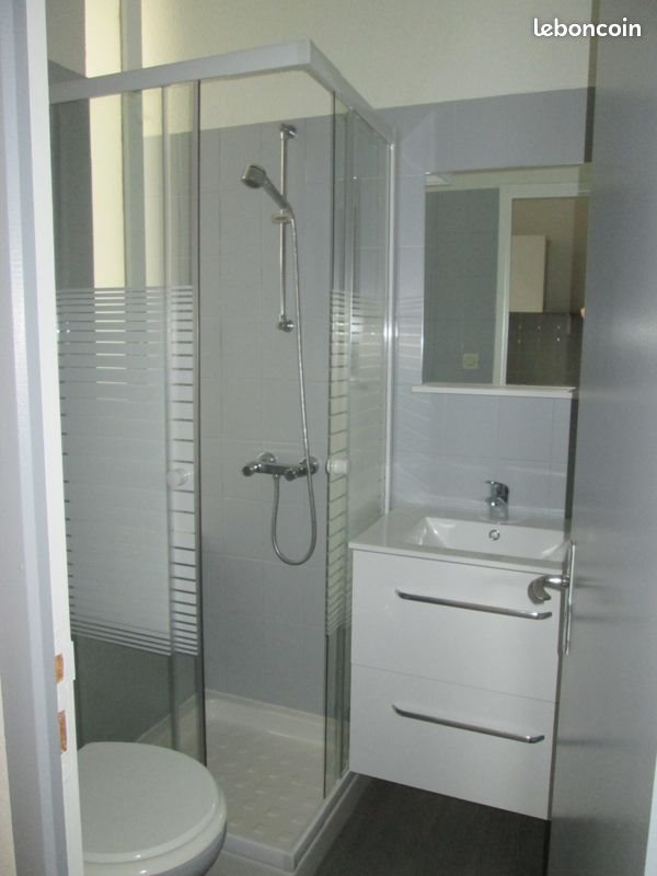 Appartement à louer, 20m², Saint-Etienne