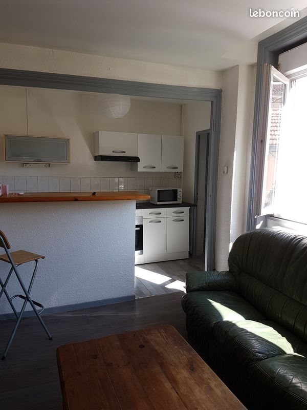Appartement à louer, 42m², Saint-Etienne