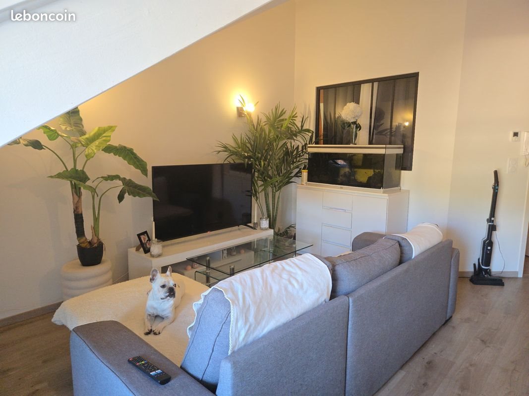Appartement à louer, 41m², Aguessac