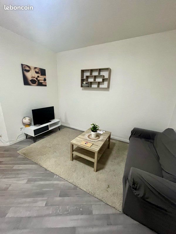 Appartement à louer, 44m², Saint-Étienne