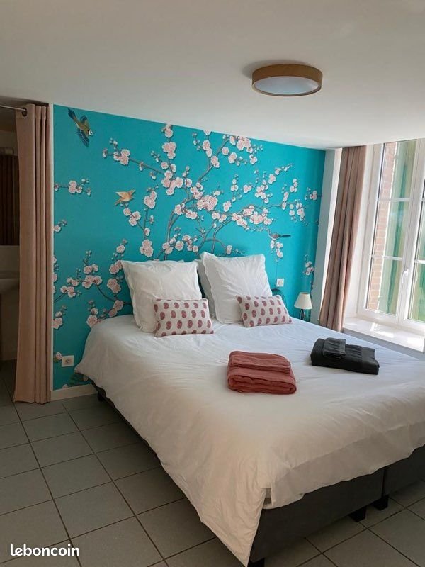Appartement à louer, 50m², Albi