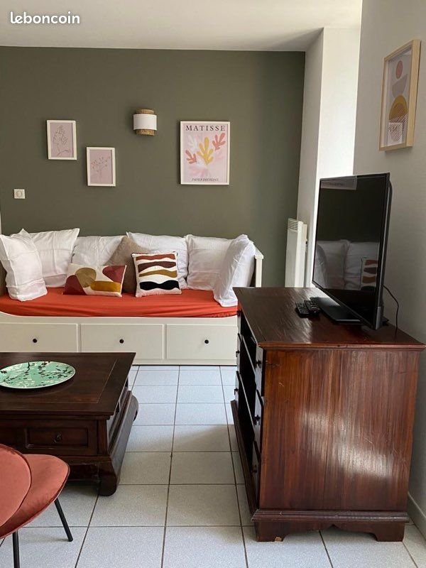 Appartement à louer, 50m², Albi