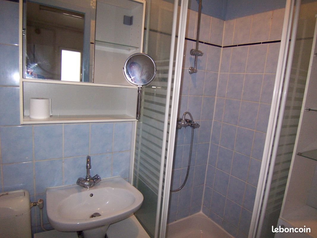 Appartement à louer, 40m², Villeurbanne