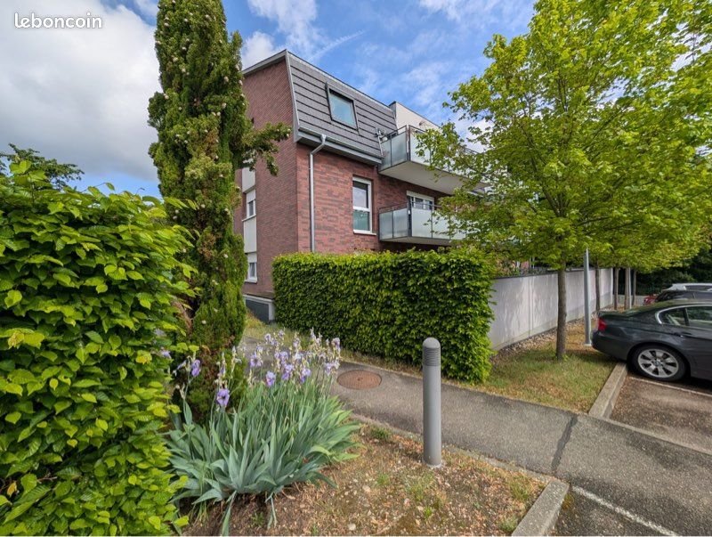 Appartement à louer, 63m², Kembs