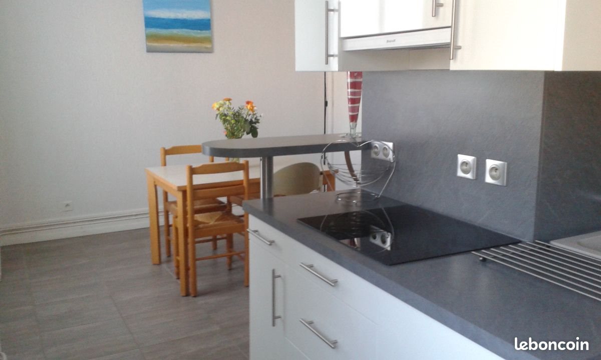 Appartement à louer, 50m², Dijon