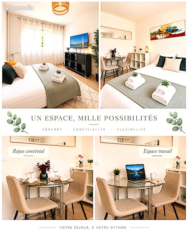 Appartement à louer, 20m², Saint-Julien-en-Genevois