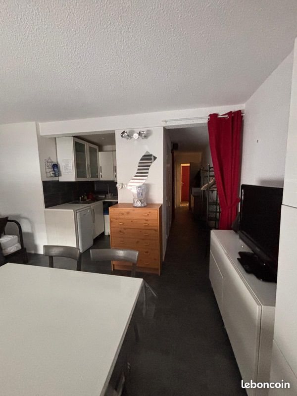 Appartement à vendre, 30m², Besse-et-Saint-Anastaise