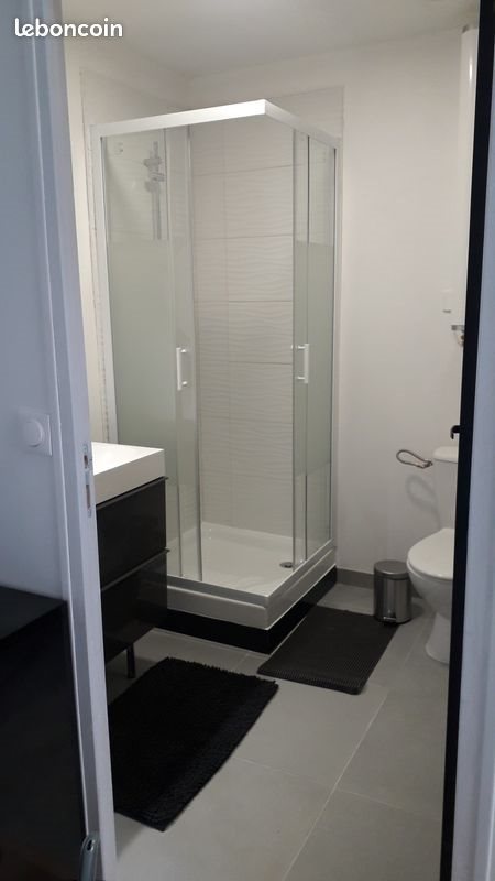 Appartement à louer, 20m², Rouen