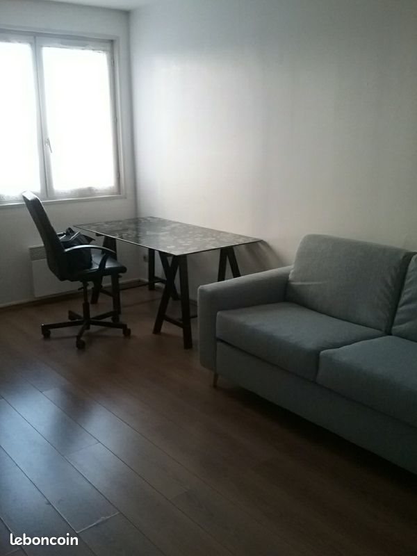Appartement à louer, 29m², Lyon 7ème