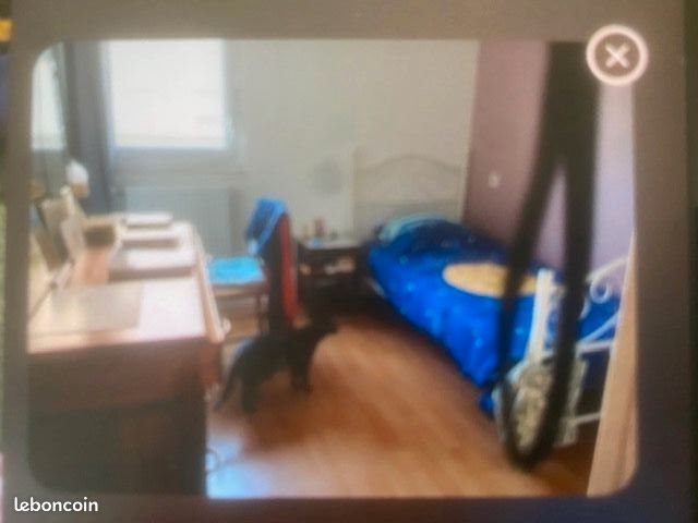 Appartement à louer, 15m², Saint-Martin-d'Hères