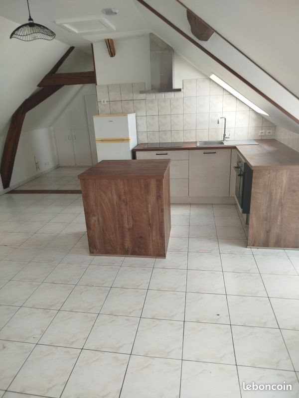 Appartement à louer, 51m², Fleury-les-Aubrais