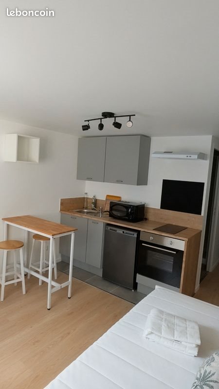 Appartement à louer, 19m², Tours