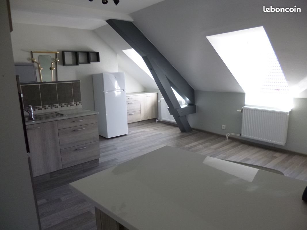 Appartement à louer, 39m², Belfort