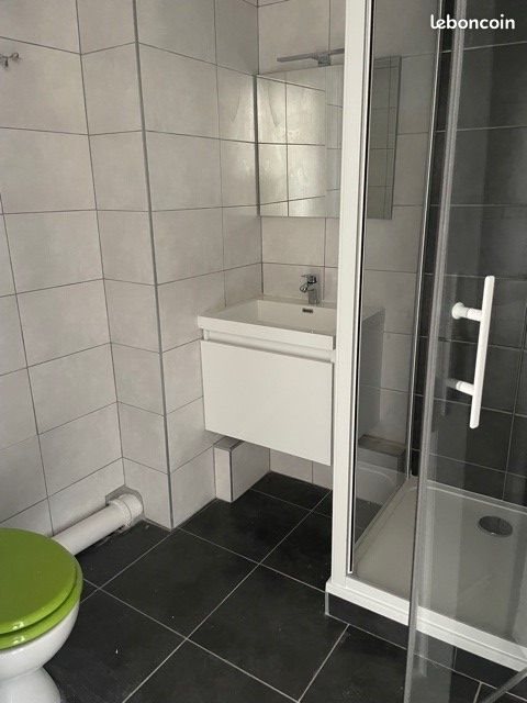 Appartement à louer, 35m², Saint-Etienne