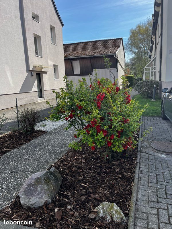 Appartement à vendre, 41m², Strasbourg