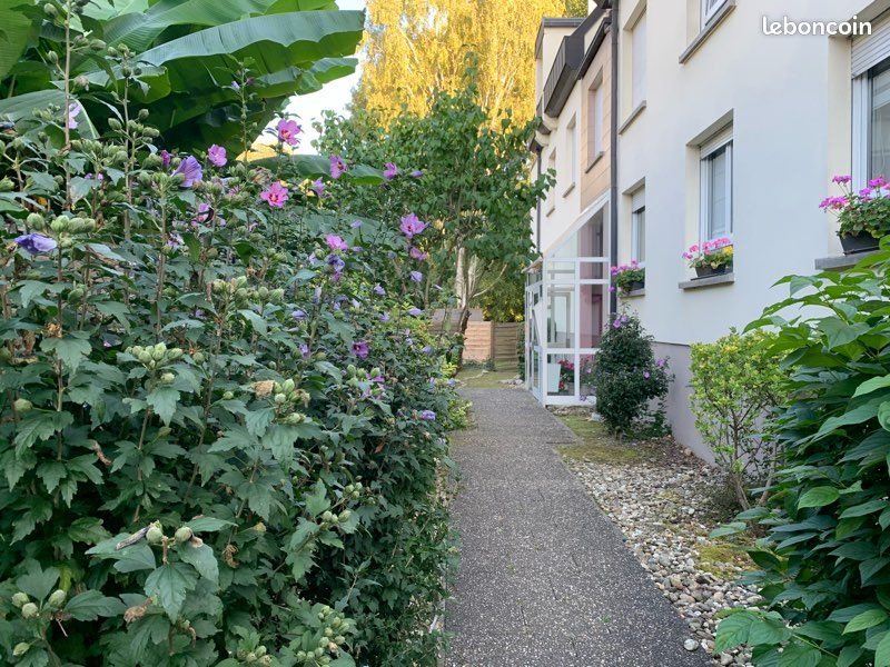 Appartement à vendre, 41m², Strasbourg