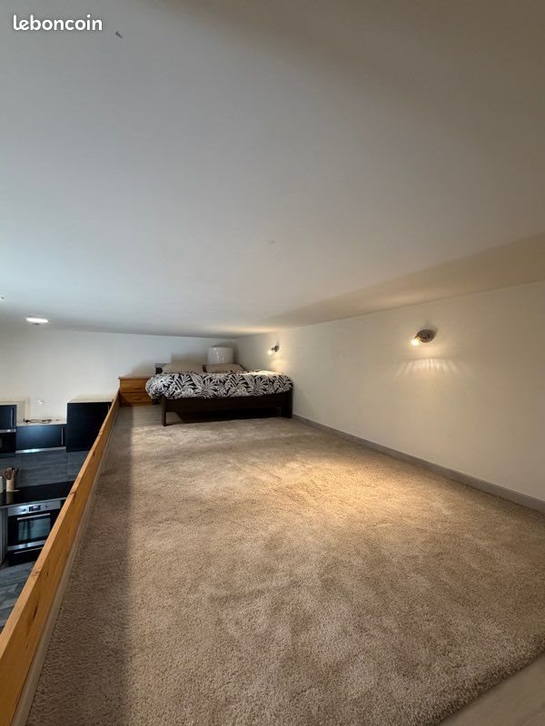 Appartement à louer, 24m², Saint-Etienne
