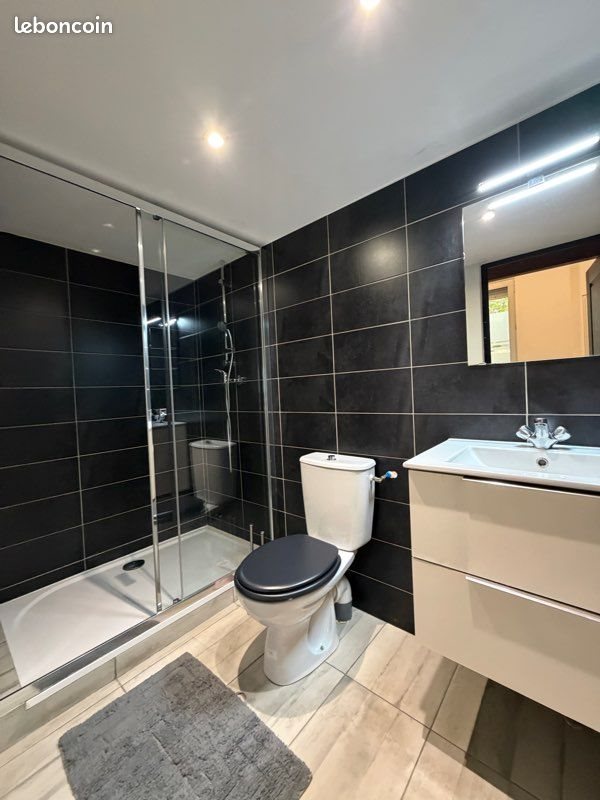 Appartement à louer, 24m², Saint-Etienne