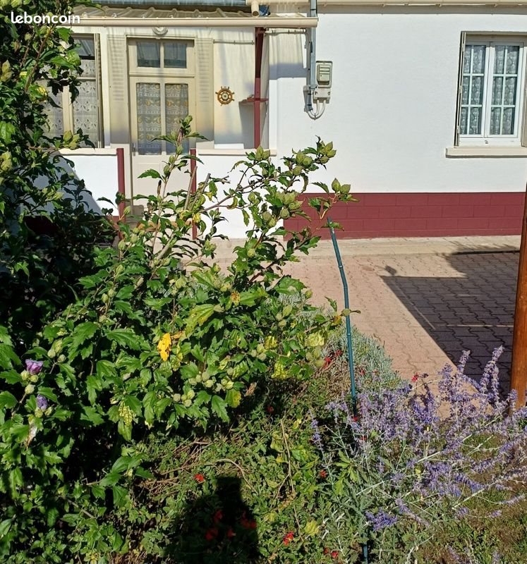 Maison à vendre, 45m², Graçay