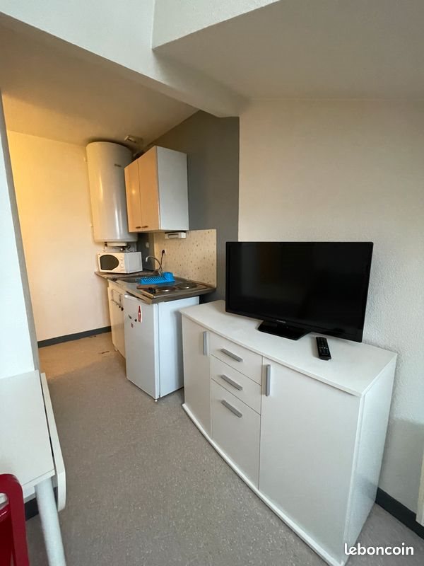 Appartement à louer, 32m², Saint-Etienne