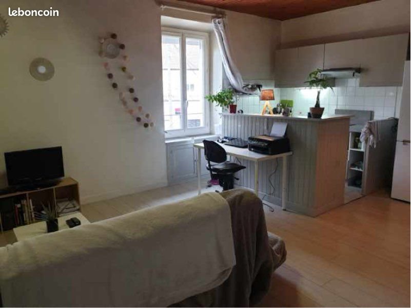 Appartement à louer, 44m², Veauche