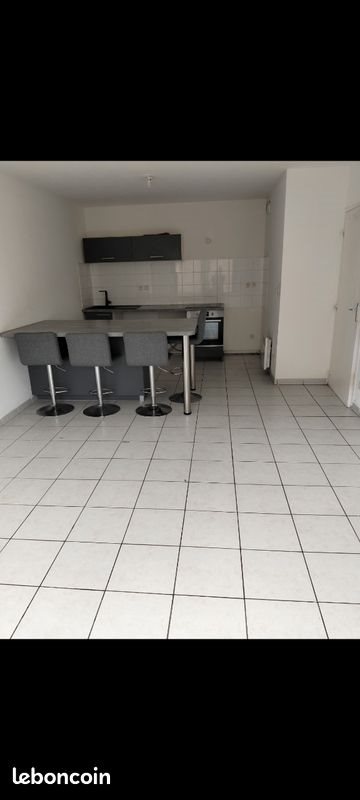 Appartement à louer, 48m², Saint-Etienne