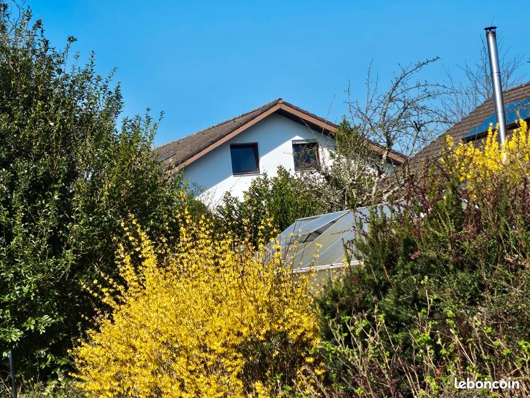 Maison à vendre, 261m², Strasbourg