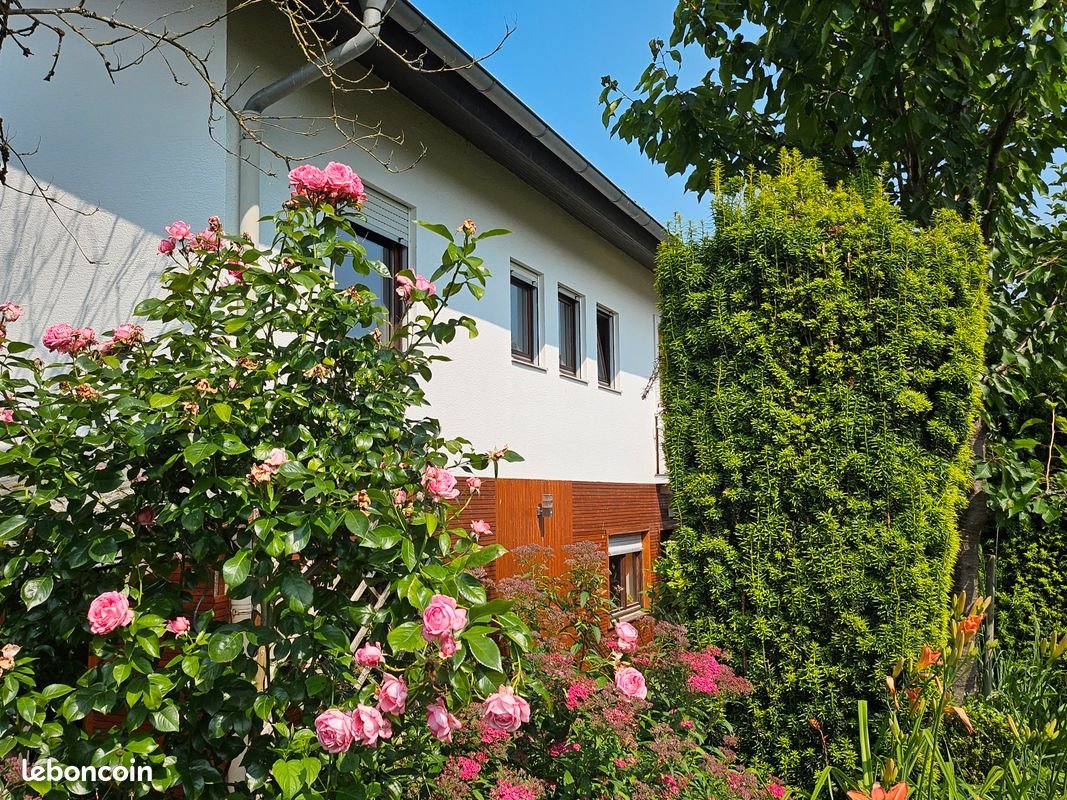 Maison à vendre, 261m², Strasbourg