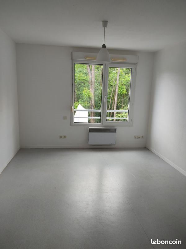 Appartement à louer, 25m², Le Mans