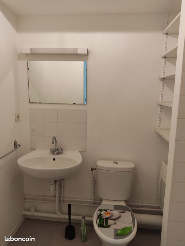 Appartement à louer, 25m², Le Mans