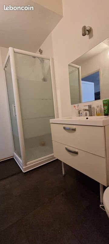 Appartement à louer, 25m², Anzin