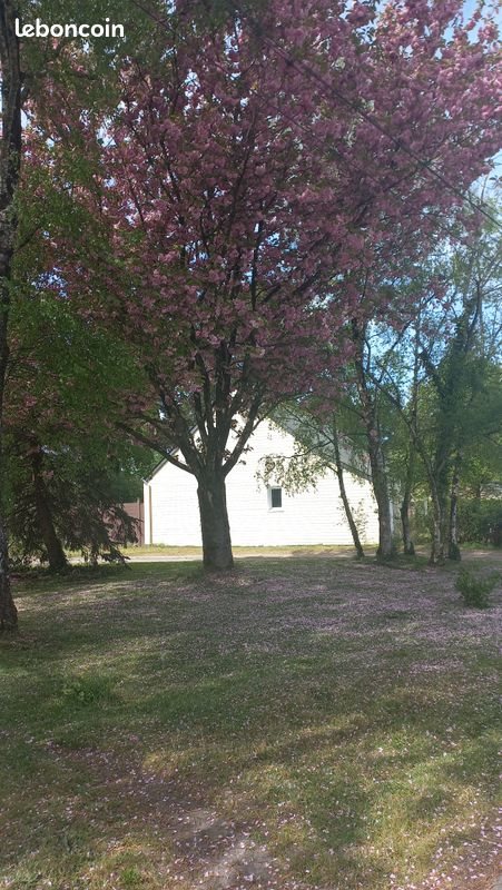 Maison à louer, 80m², Campbon