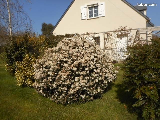 Maison à vendre, 162m², Mazangé